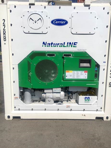 NaturaLINE back
